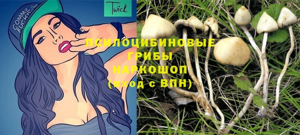 прущие крисы Михайлов