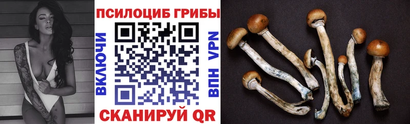 сколько стоит  mega ссылка  Псилоцибиновые грибы мухоморы  Балаково 
