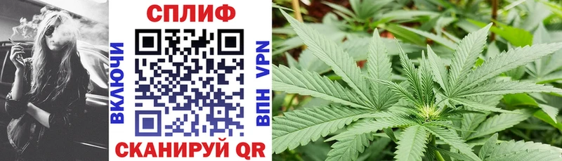 Каннабис Ganja  кракен как зайти  Балаково  цены наркотик 